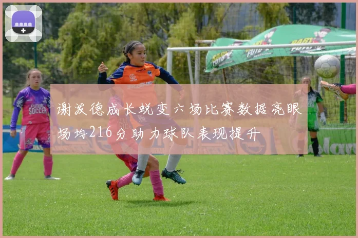 谢泼德成长蜕变六场比赛数据亮眼场均216分助力球队表现提升