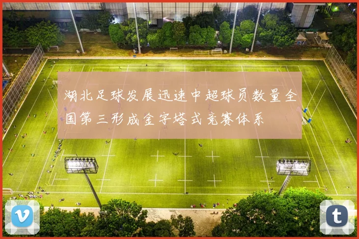 湖北足球发展迅速中超球员数量全国第三形成金字塔式竞赛体系