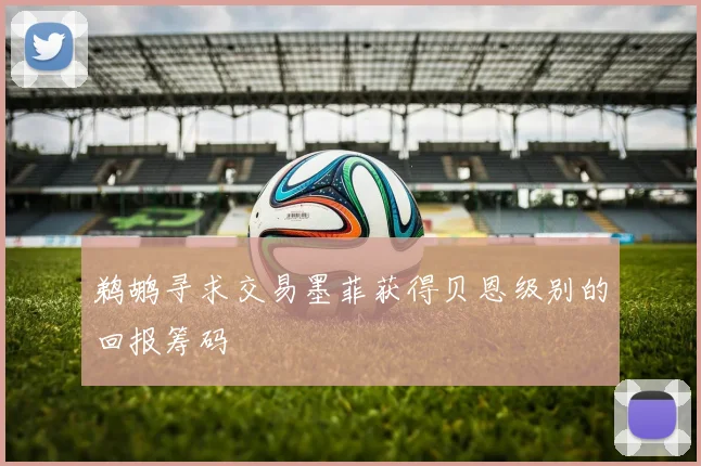 鹈鹕寻求交易墨菲获得贝恩级别的回报筹码