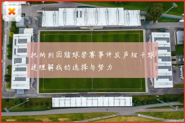 托纳利因赌球禁赛事件发声纽卡球迷理解我的选择与努力