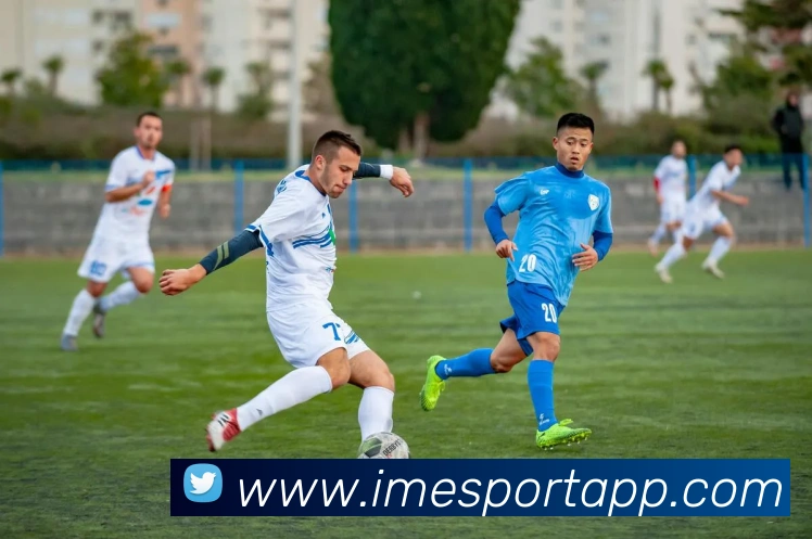 多媒体互动体验