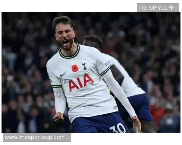 英媒透露本坦库尔将续约热刺同时球队有意买断帕利尼亚